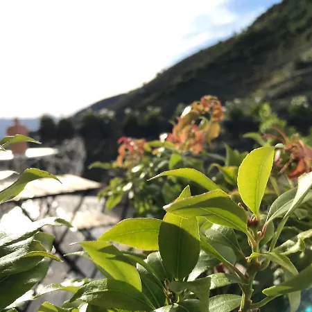 Bed & Breakfast Borgo Manca *