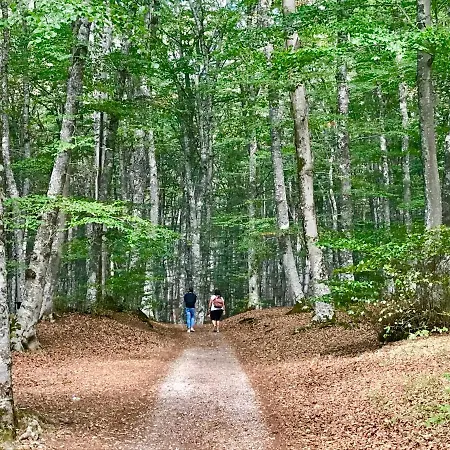 Borgo Manca Bed & Breakfast Sasso di Castalda